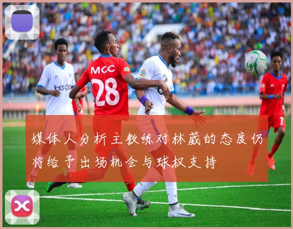媒体人分析主教练对林葳的态度仍将给予出场机会与球权支持