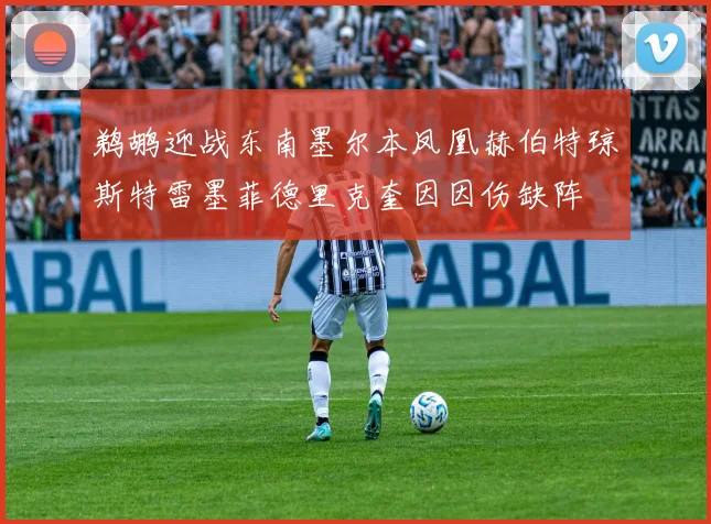 鹈鹕迎战东南墨尔本凤凰赫伯特琼斯特雷墨菲德里克奎因因伤缺阵