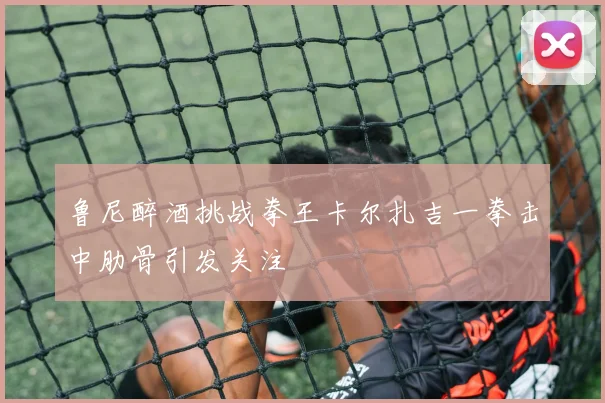 鲁尼醉酒挑战拳王卡尔扎吉一拳击中肋骨引发关注